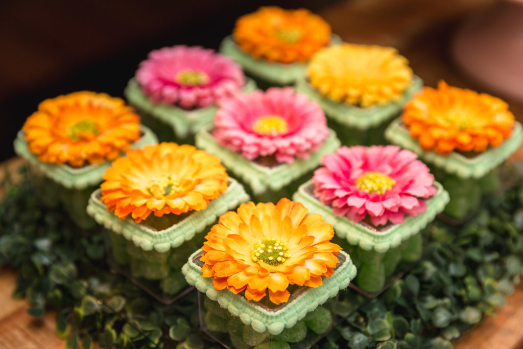 Bibi 1 ano - jardim da bibi - Quintal Festas - Botafogo - Festa infantil / RJ