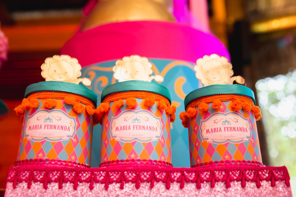 Aniversário infantil Maria Fernanda - 1 ano - Casa de Festas Lajedo - Vargem Pequena - Tema Circo Menina