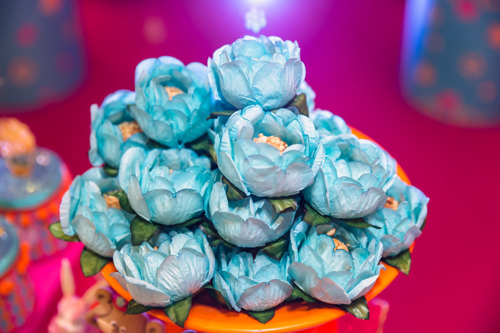 Aniversário infantil Maria Fernanda - 1 ano - Casa de Festas Lajedo - Vargem Pequena - Tema Circo Menina