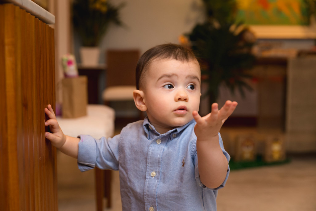 Pipo 1 ano- aniversario infantil menino - primeiro aninho - aniversario infantil urca - urca rj - aniversario em casa