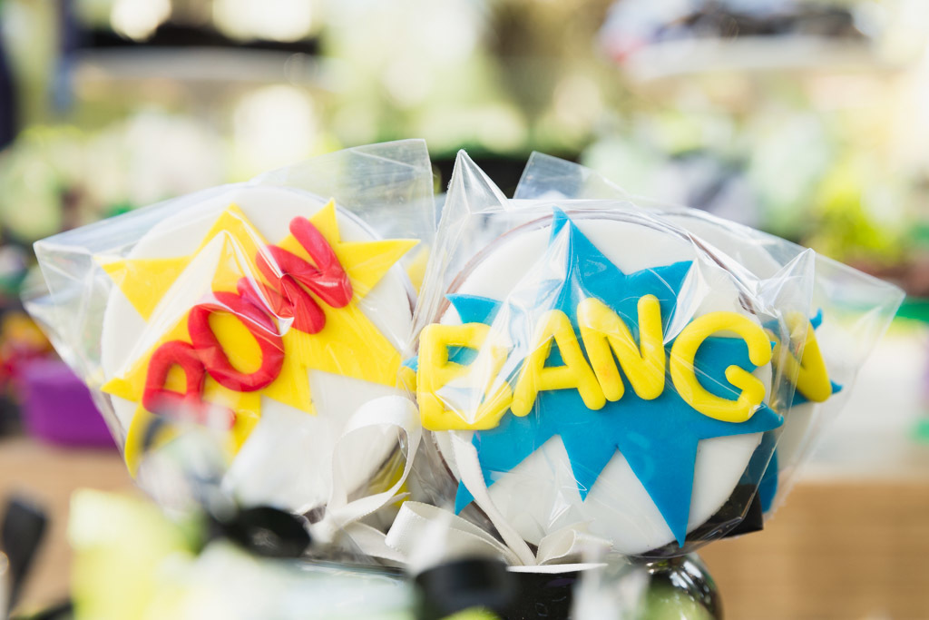 Davi 6 anos - aniversario infantil - tema vilões - coringa e batman - piquenique de aniversario - festa infantil - Arlequina 