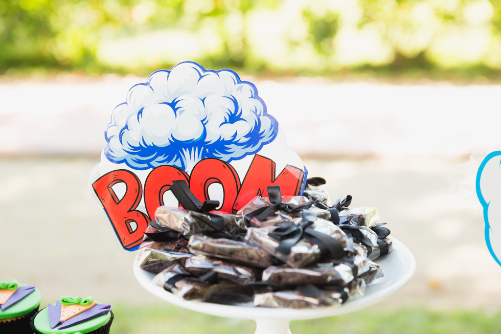 Davi 6 anos - aniversario infantil - tema vilões - coringa e batman - piquenique de aniversario - festa infantil - Arlequina 