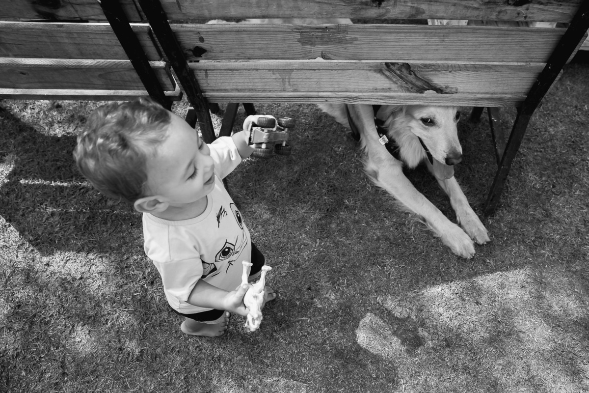 samuel 2 anos ; com bobby embaixo do banco