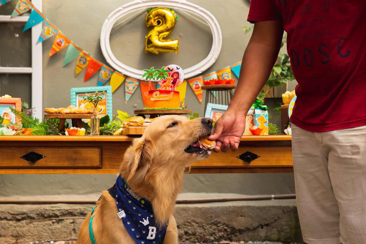 bobby ; cachorro robando comida da mesa do bolo ; aniversario com cachorrinho