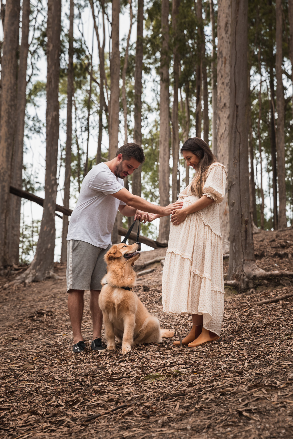 ensaio de gestante no parque da cidade em niteroi fotos com pet golden retriever