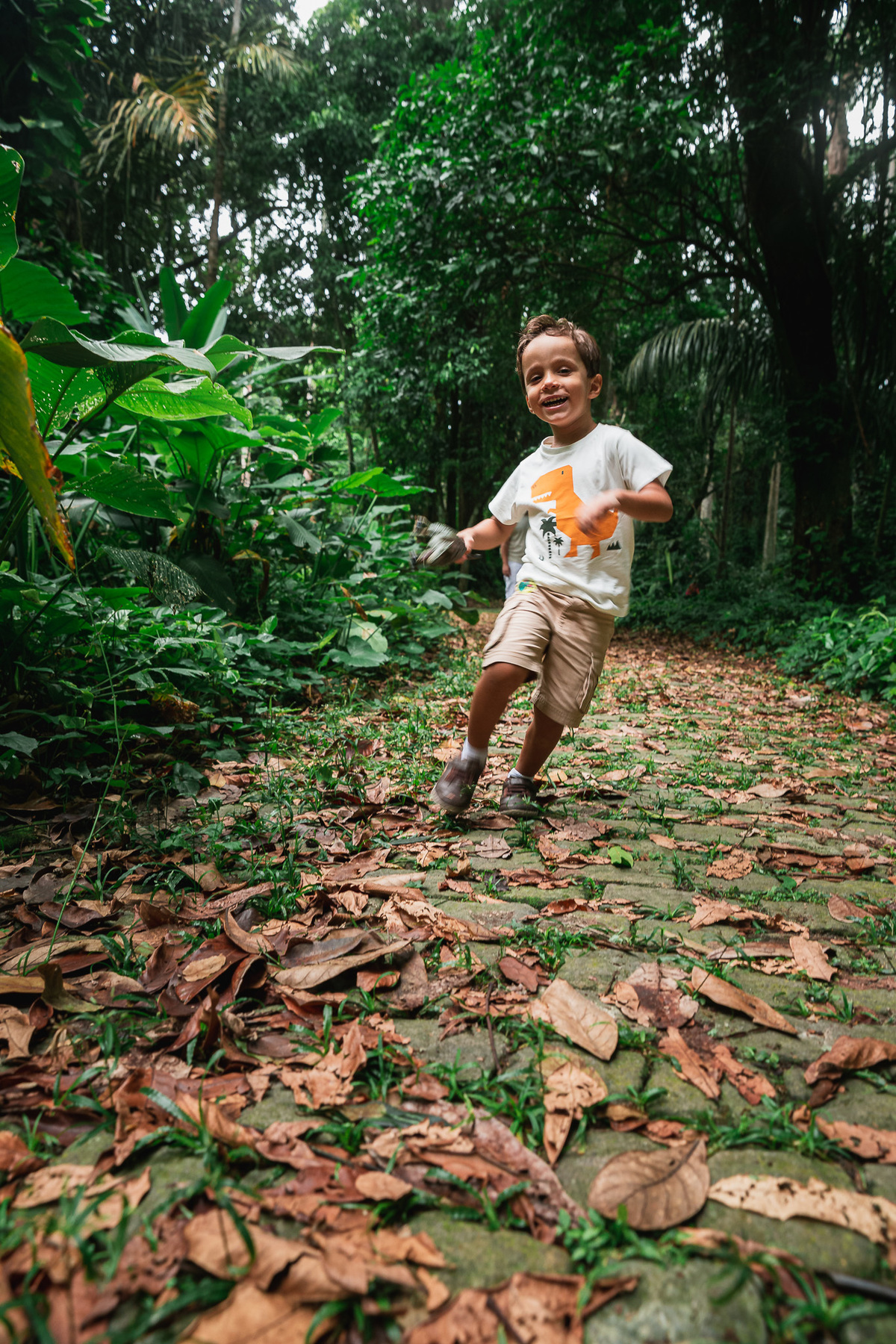 Ensaio fotografico de familia no parque lage criança correndo em caminho de folhas e plantas