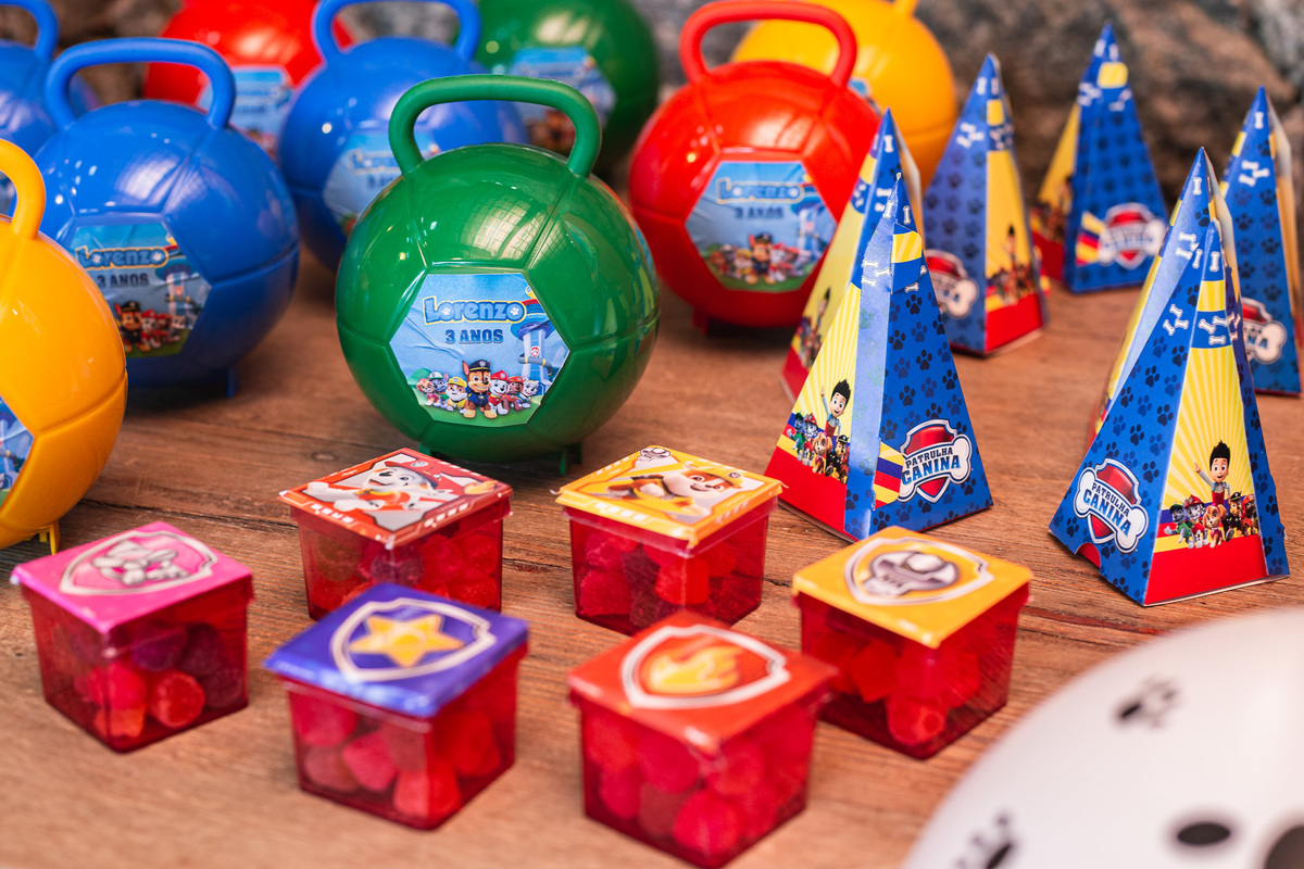 Lorenzo 3 anos patrulha canina pula pula decoraçao aniversario menino