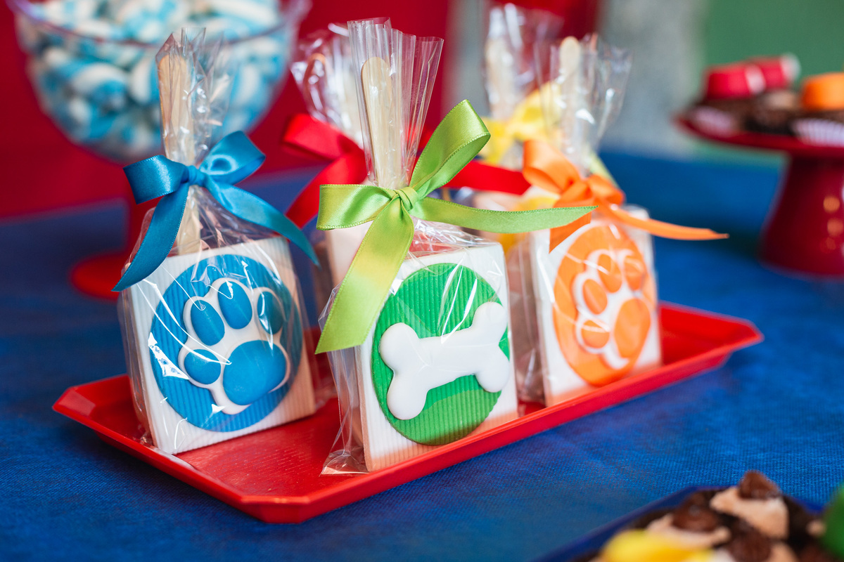 Lorenzo 3 anos patrulha canina pula pula decoraçao aniversario menino