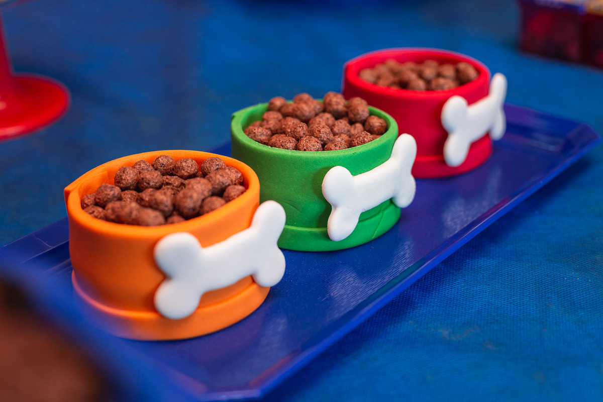 Lorenzo 3 anos patrulha canina pula pula decoraçao aniversario menino