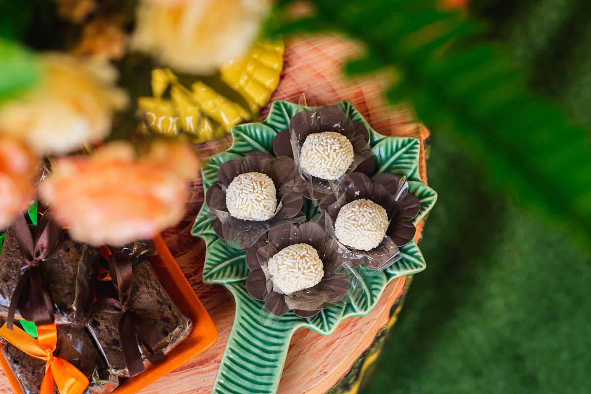 aniversario maria luiza malu festa jurassicpark 2 anos menina diversao piscina de bolinhas aniversario infantil rj festa infantil criança 