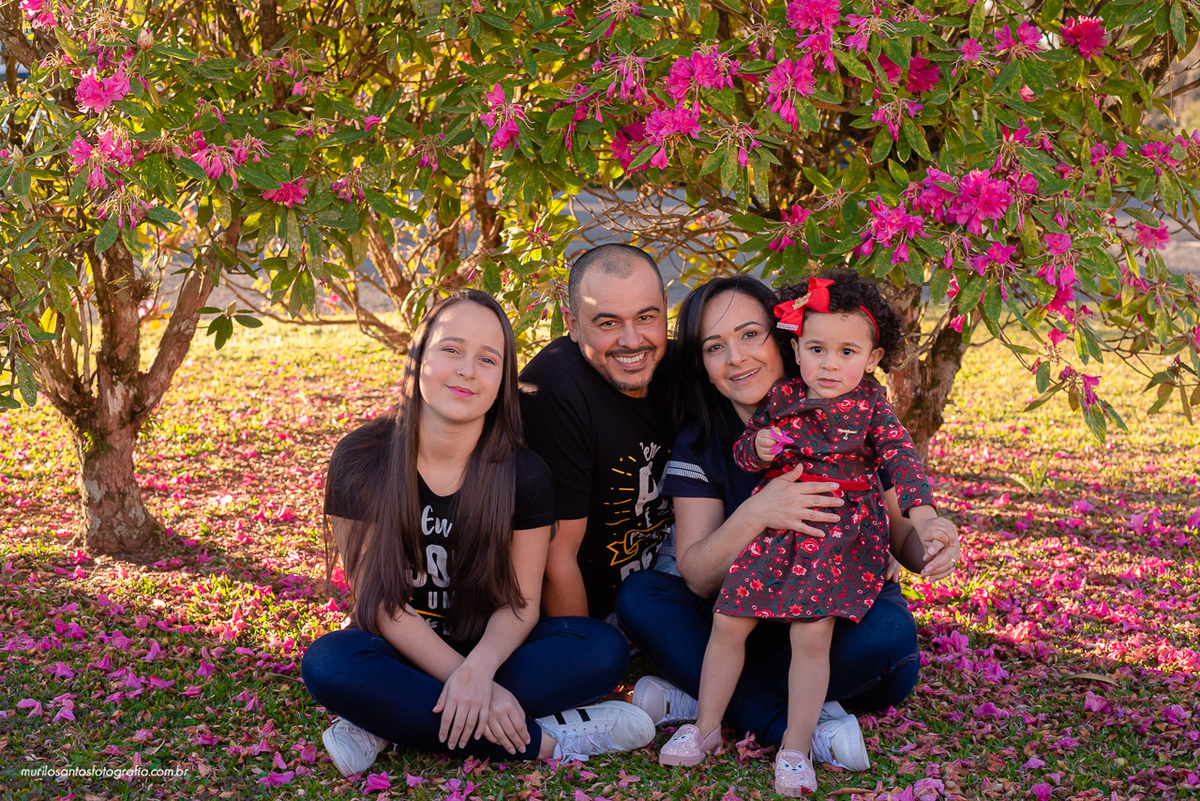 Murilo Santos Fotografia Ensaio Externo Ensaio Pessoal Patricia e Família Ensaio ao Ar Livre Castrolanda Moinho Castro Paraná