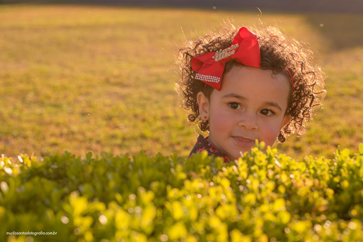 Murilo Santos Fotografia Ensaio Externo Ensaio Pessoal Patricia e Família Ensaio ao Ar Livre Castrolanda Moinho Castro Paraná