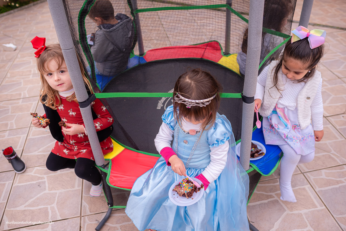 Beatriz 4 Anos Murilo Santos Fotografia Castro Campos Gerais Paraná Festa Alegria Família Nikon Criança Princesa Frozen