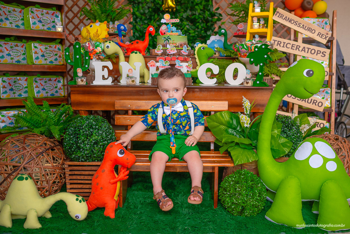 Enrico 1 Aninho Murilo Santos Fotografia Castro Campos Gerais Paraná Festa Alegria Família Nikon Criança Aniversario Infantil Parabens