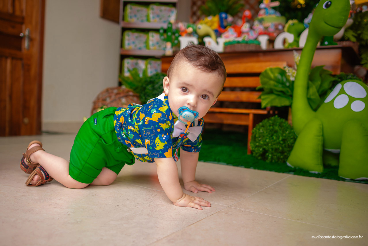 Enrico 1 Aninho Murilo Santos Fotografia Castro Campos Gerais Paraná Festa Alegria Família Nikon Criança Aniversario Infantil Parabens