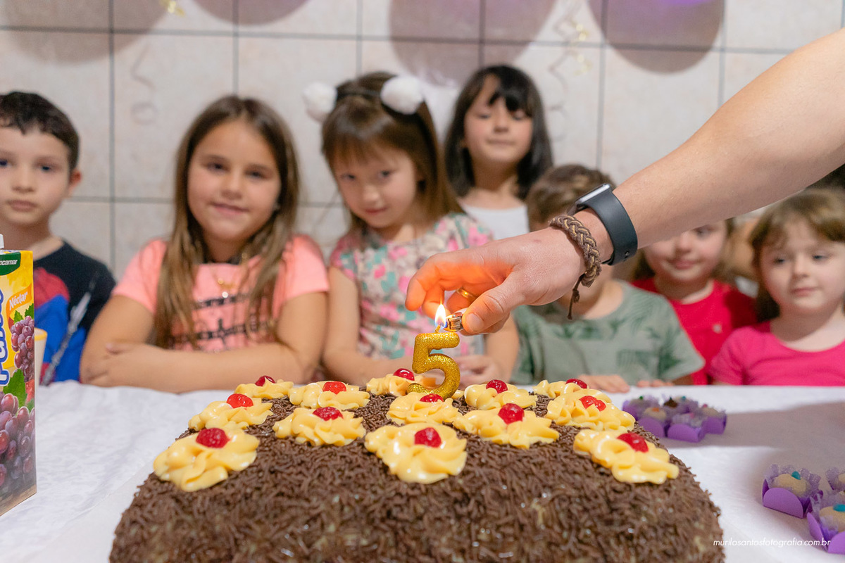 Beatriz 5 Anos Murilo Santos Fotografia Castro Campos Gerais Paraná Festa Alegria Família Sony Parabéns Criança