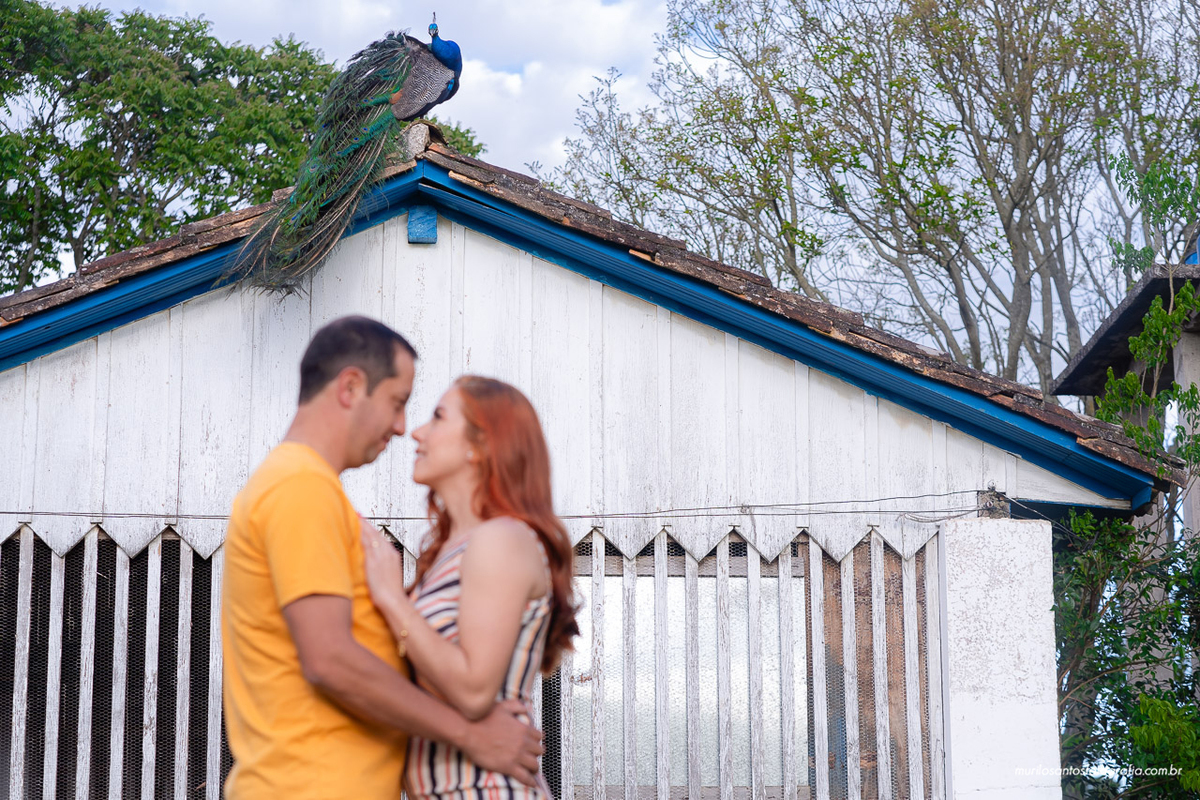 Dara e Clayton Murilo Santos Fotografia Castro Campos Gerais Paraná Ensaio Externo Ensaio Casal Noivos Casamento Pré wedding Pré Fazenda Capão Alto Noiva Noivo Casal