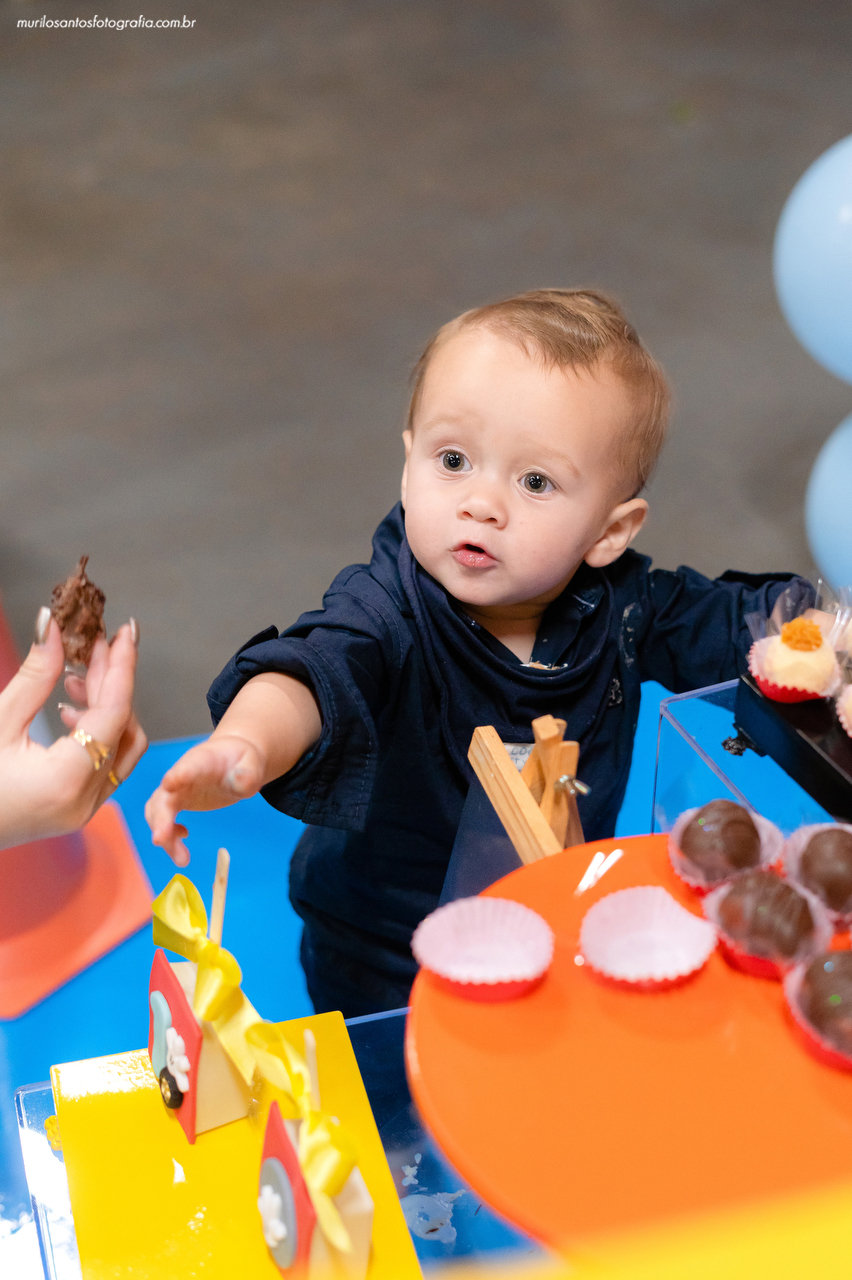 Davi 1 Aninho 1 Ano Murilo Santos Fotografia Castro Campos Gerais Paraná Festa Alegria Família Sony Aniversario Parabens Castro Clube de Campo Criança Mickey Minnie