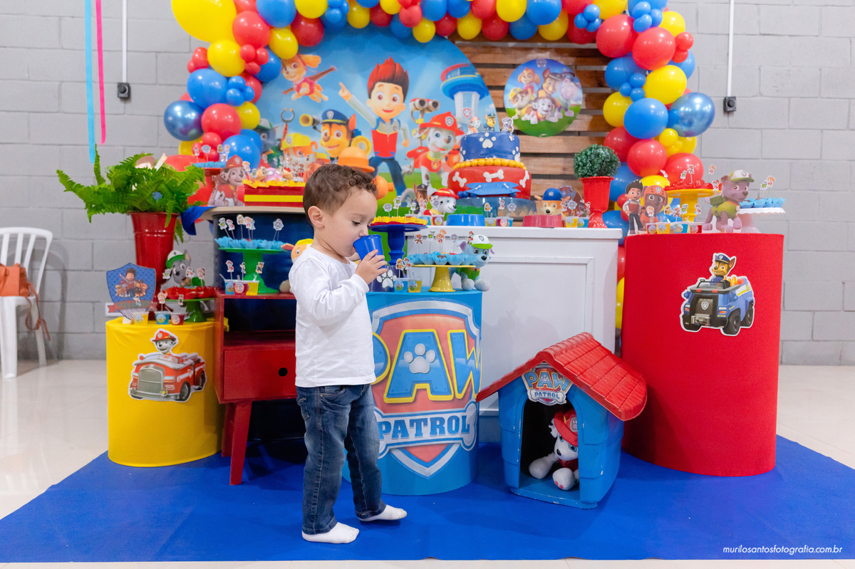 Joaquim 3 anos Murilo Santos Fotografia Castro Campos Gerais Paraná Festa Alegria Família Sony Criança Aniversario Infantil Parabens