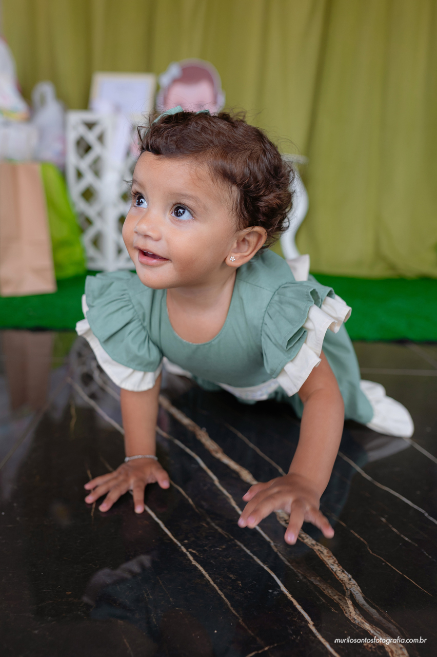 Olívia 1 Aninho 1 Ano Murilo Santos Fotografia Castro Campos Gerais Paraná Festa Alegria Família Sony Aniversario Parabens Joao e Maria Eventos Criança