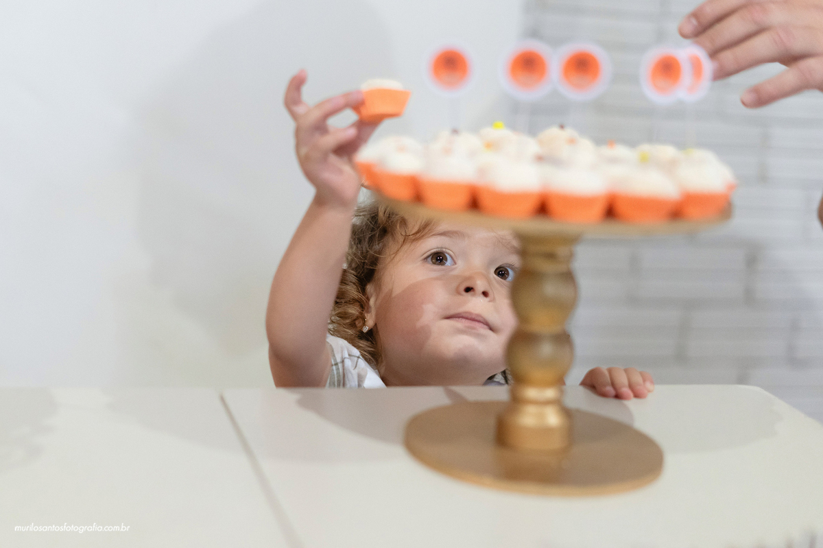 Matteo 1 Aninho 1 Ano Murilo Santos Fotografia Castro Campos Gerais Paraná Festa Alegria Família Sony Aniversario Parabens Joao e Maria Eventos Criança