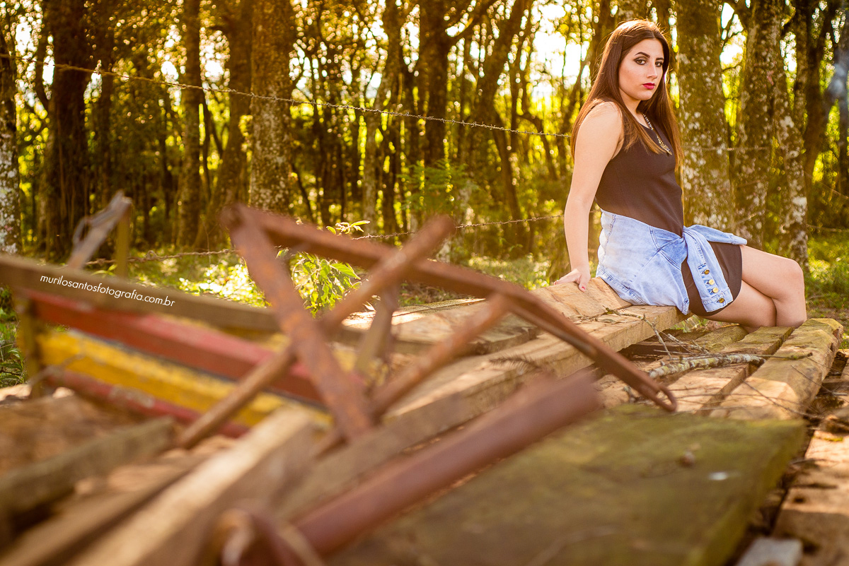 Heloisa 15 Anos Murilo Santos Fotografia Ao Ar Livre Castro Campos Gerais Paraná Alegria Família Nikon Ensaio Externo Sessão