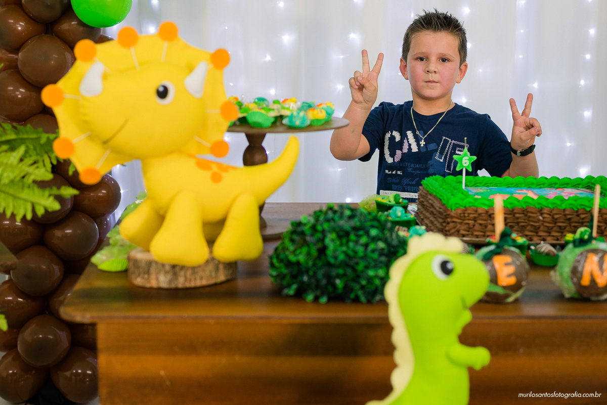 Enzo 6 Anos Murilo Santos Fotografia Salão Belissima Castro Campos Gerais Paraná Festa Alegria Família Nikon Criança Dinossauros