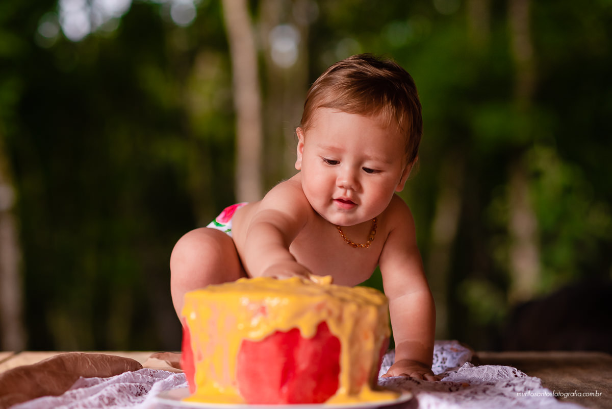 Murilo Santos Fotografia Ensaio Externo Ensaio Smash The fruit Cícero Ensaio Pessoal Criança Infantil Alegria Espontaneo Bolo de fruta Manga Smash the cake Castro Paraná