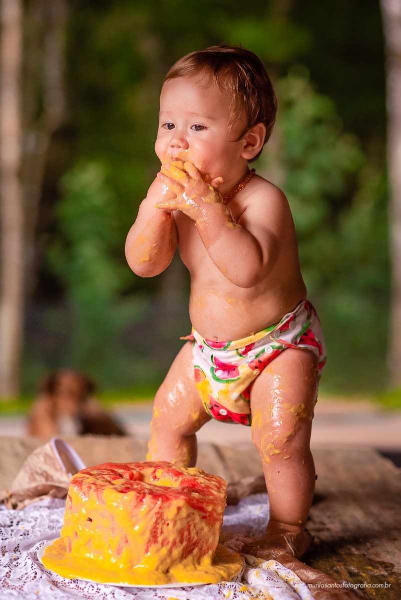 Murilo Santos Fotografia Ensaio Externo Ensaio Smash The fruit Cícero Ensaio Pessoal Criança Infantil Alegria Espontaneo Bolo de fruta Manga Smash the cake Castro Paraná