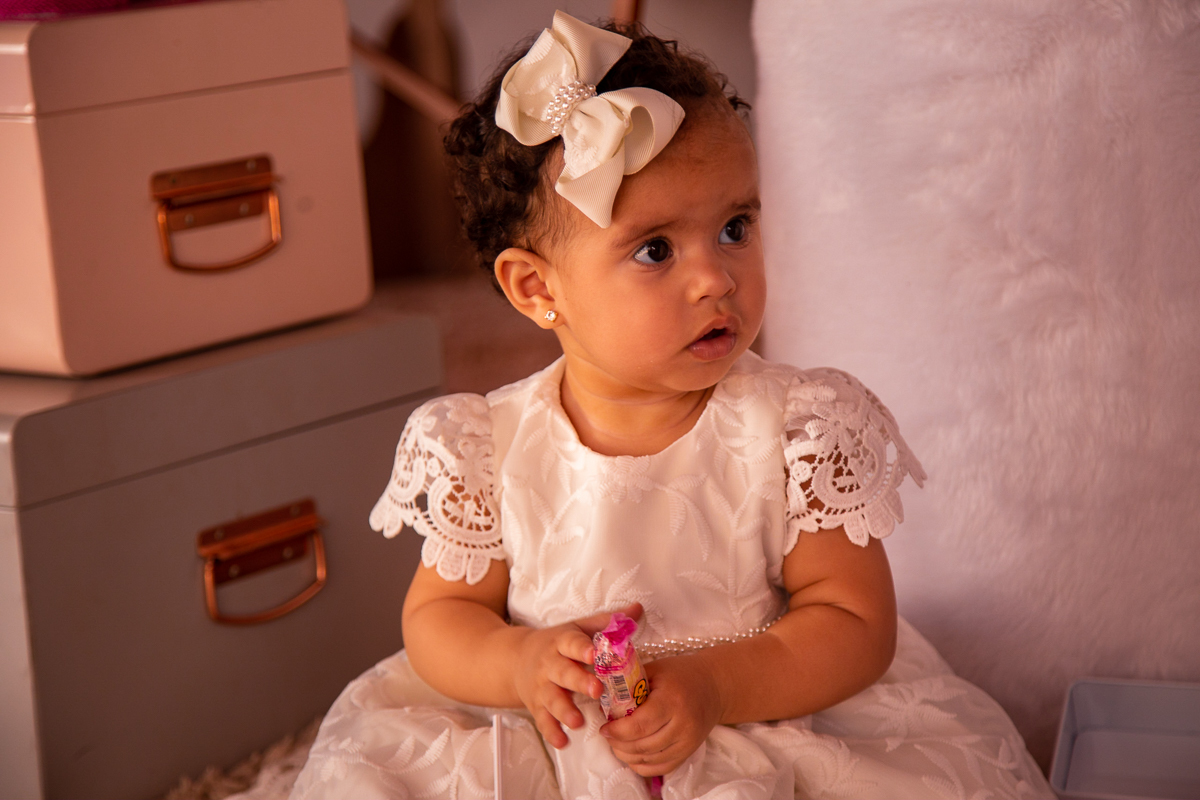 festa-infantil-tema-cisne