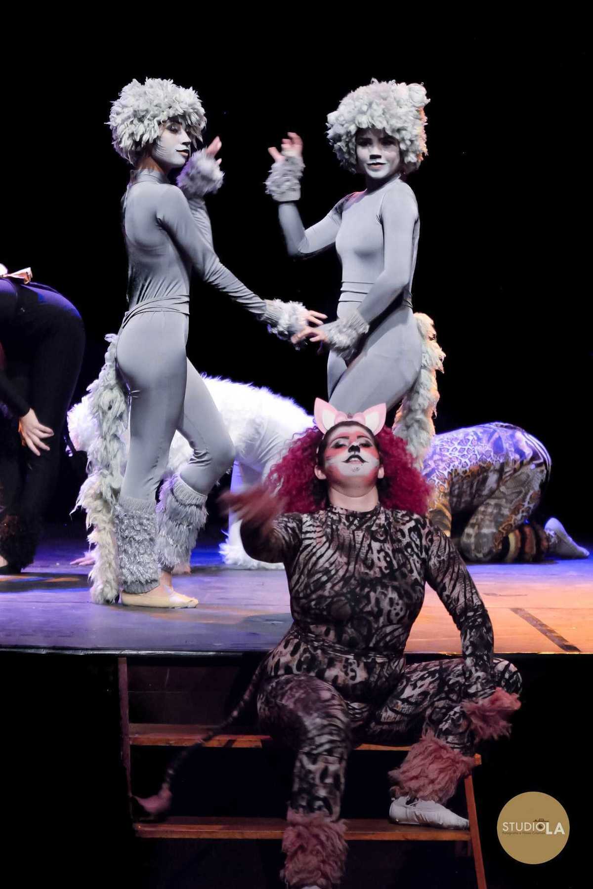 Fotografia de apresentação de teatro e dança com elenco caracterizado como gatos em cena criativa no palco. Registro feito pelo Studio LA com riqueza de detalhes cênicos.