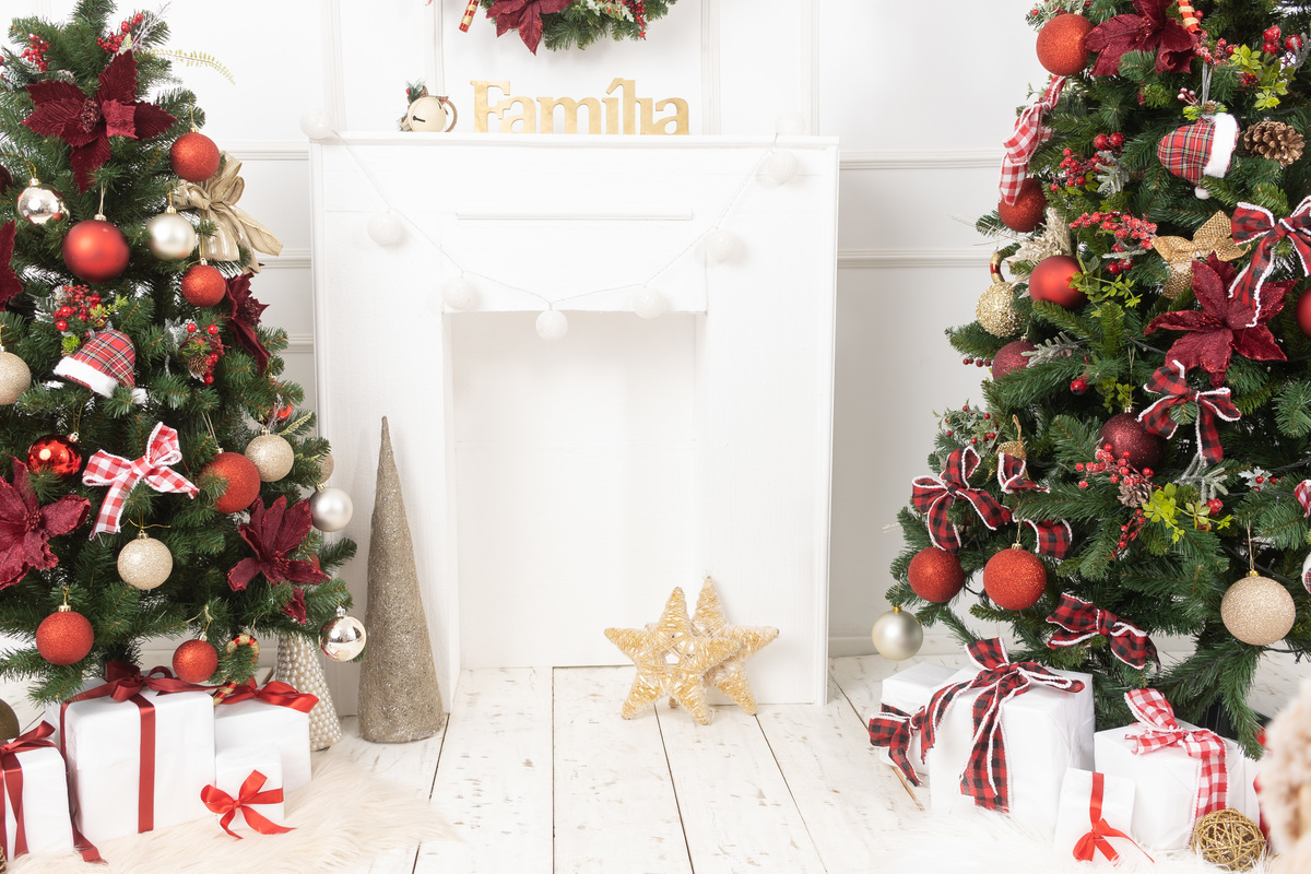 Cenário de natal; adri silva fotografia; fotografa na zona sul de SP; Santo Amarro; Interlagos, sessão natalina; foto de família