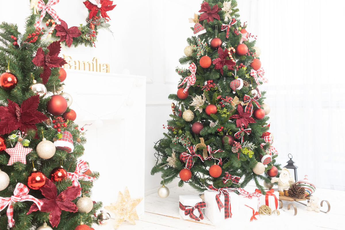 Cenário de natal; adri silva fotografia; fotografa na zona sul de SP; Santo Amarro; Interlagos, sessão natalina; foto de família