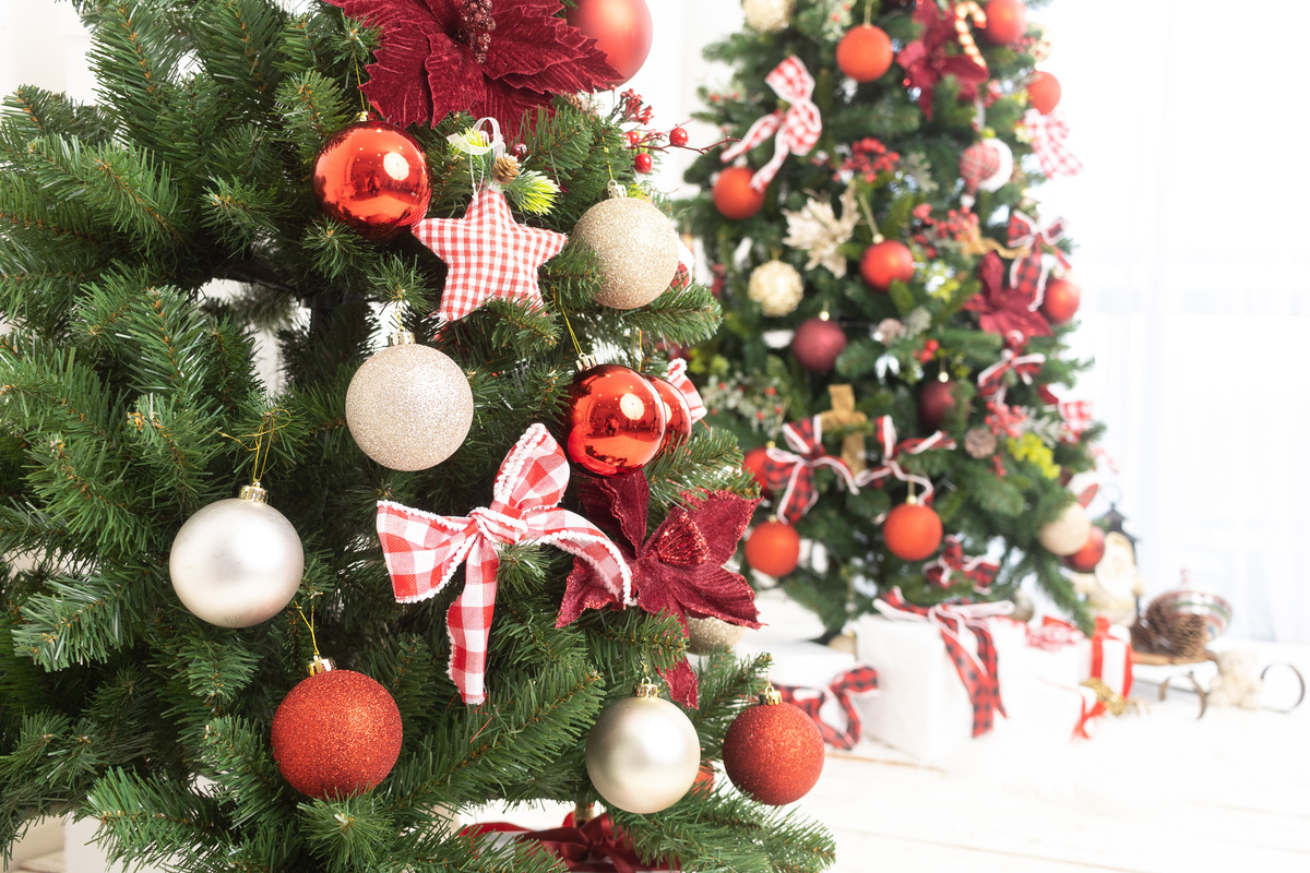 Cenário de natal; adri silva fotografia; fotografa na zona sul de SP; Santo Amarro; Interlagos, sessão natalina; foto de família