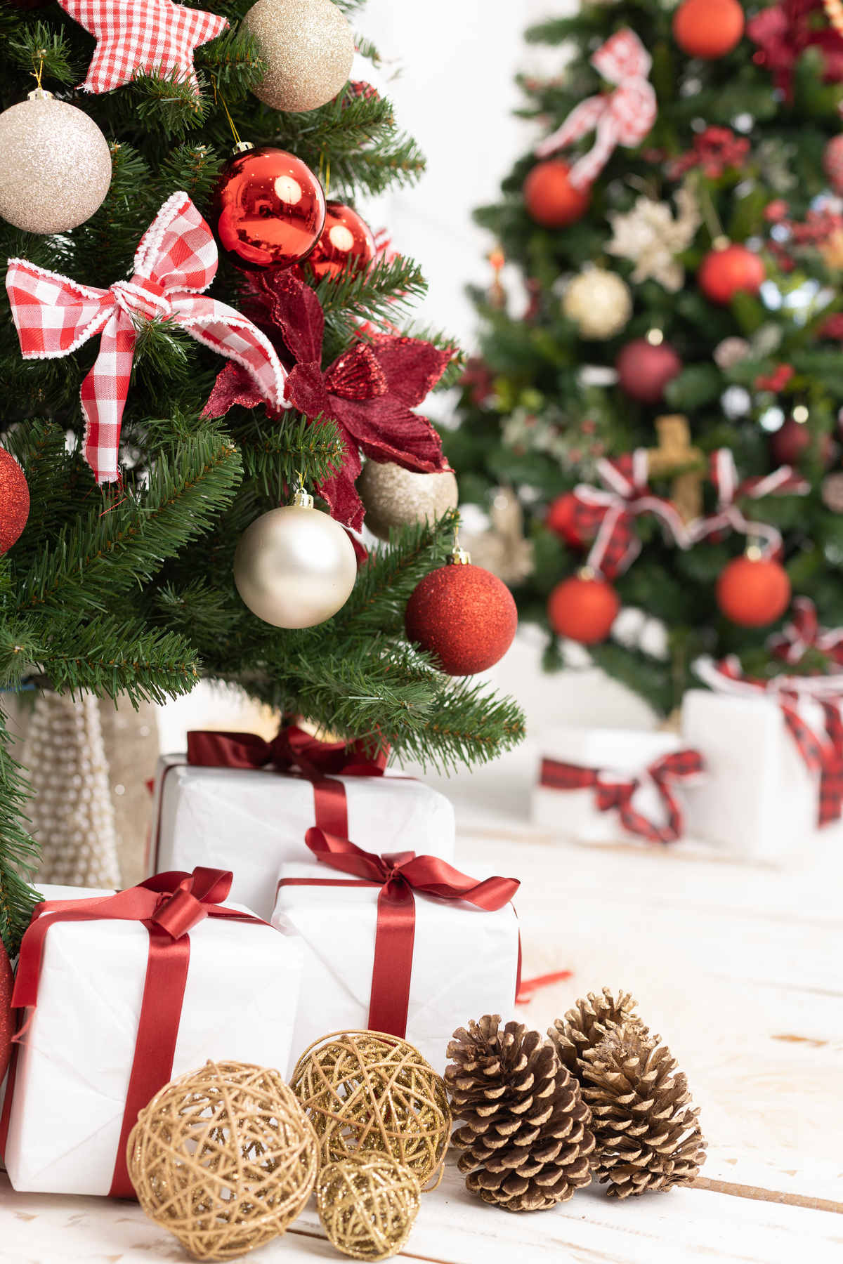 Cenário de natal; adri silva fotografia; fotografa na zona sul de SP; Santo Amarro; Interlagos, sessão natalina; foto de família