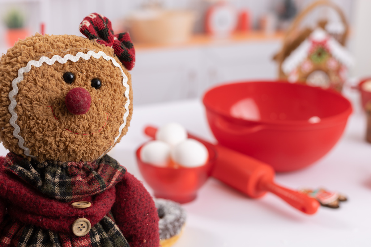 Cenário de natal; adri silva fotografia; fotografa na zona sul de SP; Santo Amarro; Interlagos, sessão natalina; foto de família