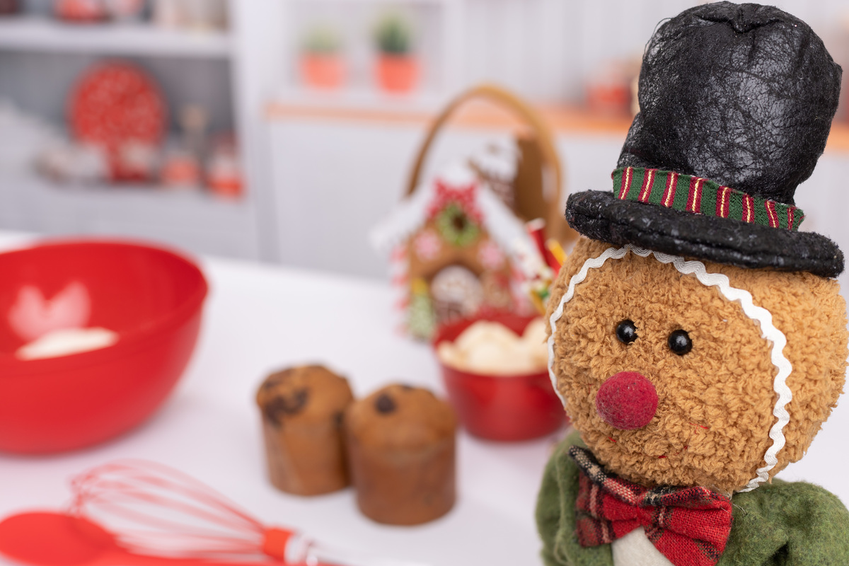 Cenário de natal; adri silva fotografia; fotografa na zona sul de SP; Santo Amarro; Interlagos, sessão natalina; foto de família