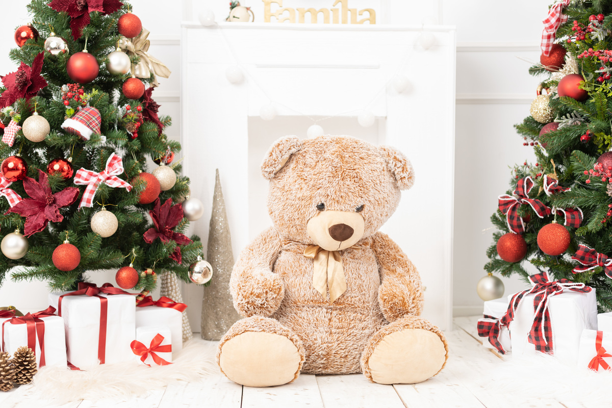 Cenário de natal; adri silva fotografia; fotografa na zona sul de SP; Santo Amarro; Interlagos, sessão natalina; foto de família