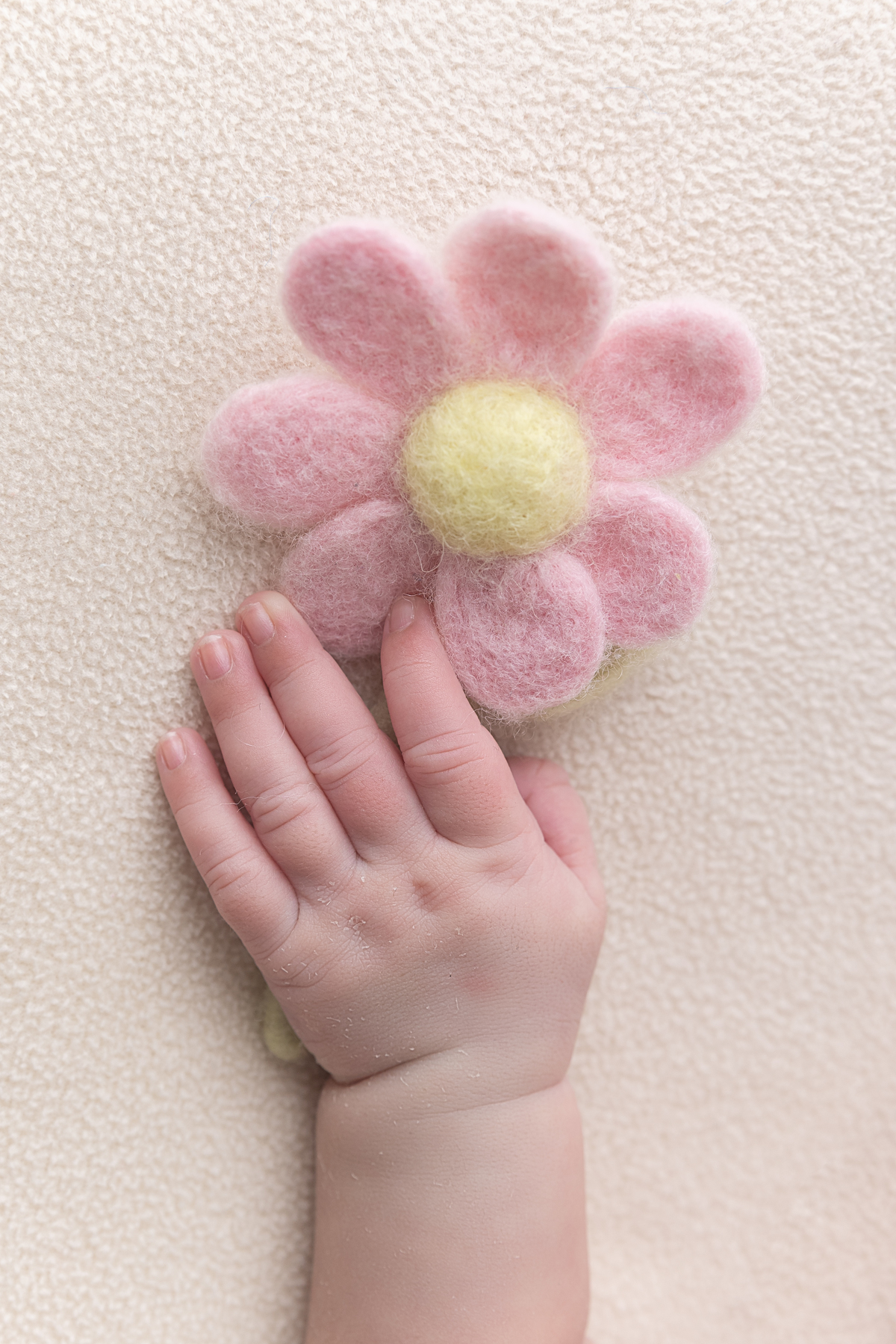 Ensaio newborn; adri silva fotografia; condomínio novamerica; fotografa na zona sul de são paulo; maternidade;