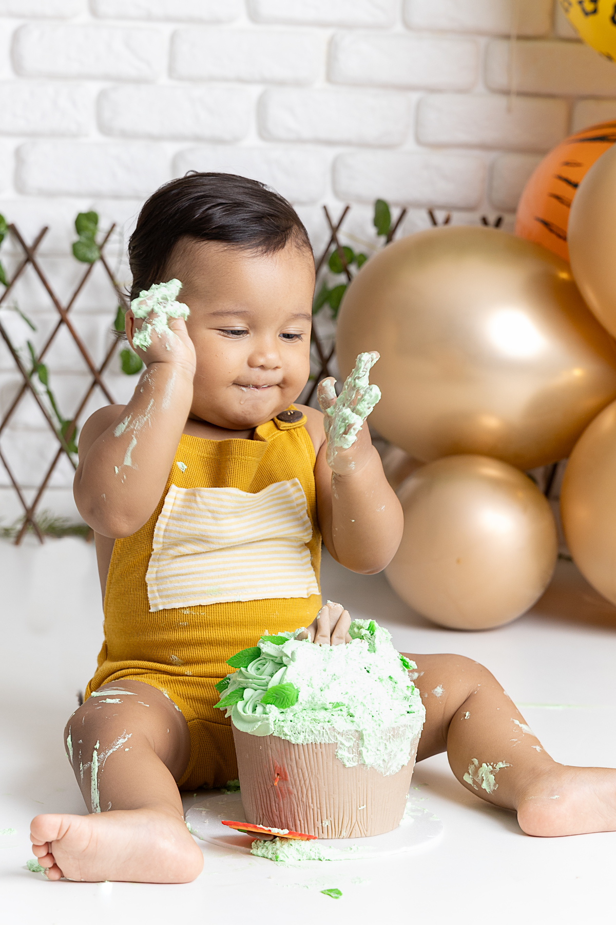 Ensaio smash the cake; adri silva fotografia; comemoração 1 ano; fotografa na zona sul de são paulo; fotografa em santo amaro