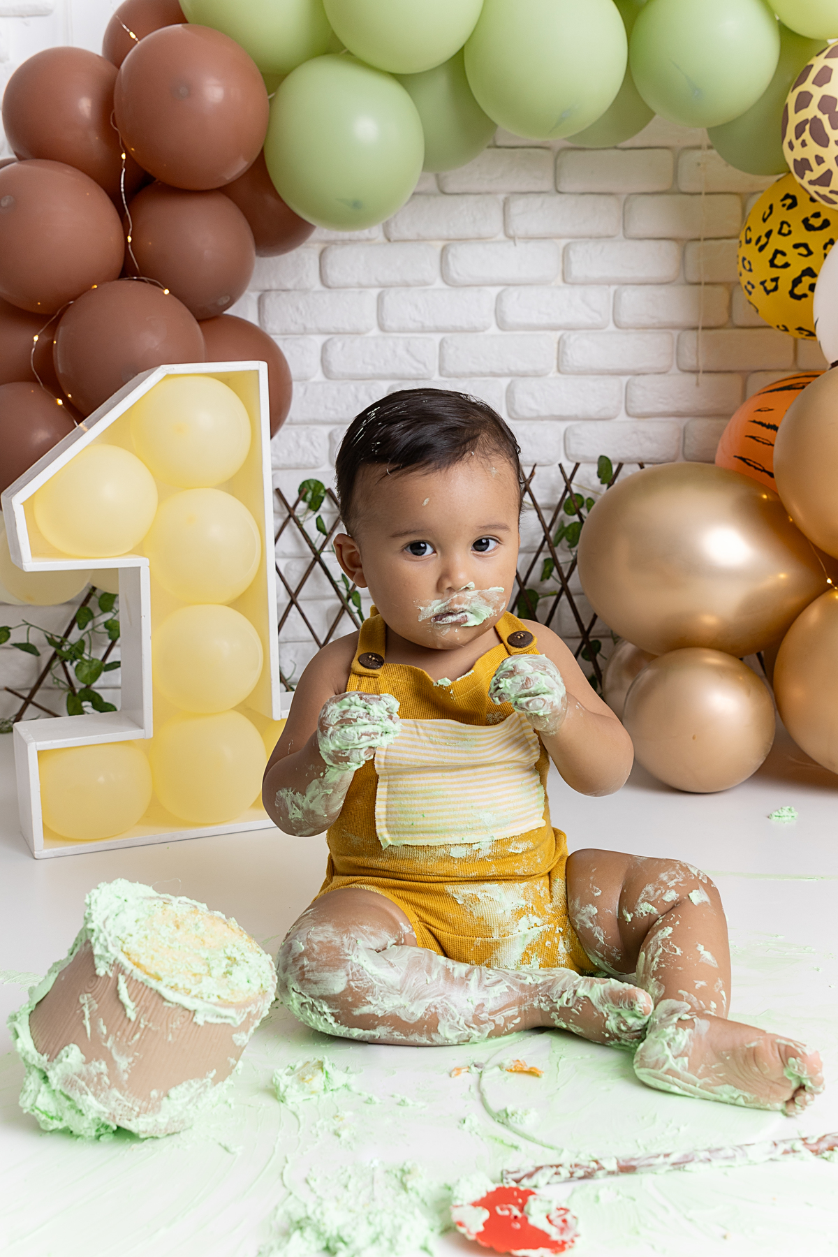 Ensaio smash the cake; adri silva fotografia; comemoração 1 ano; fotografa na zona sul de são paulo; fotografa em santo amaro