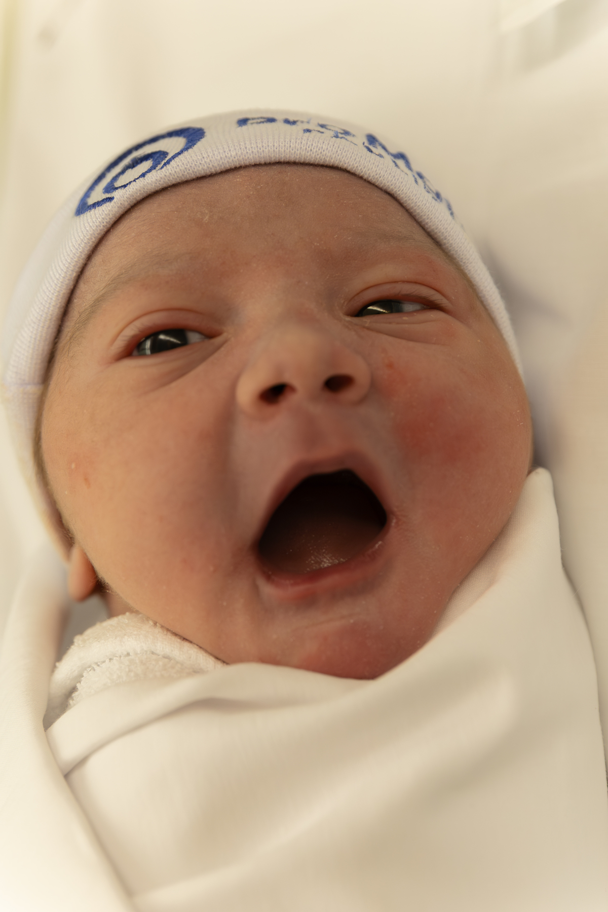 Ensaio recem nascido; adri silva fotografia; maternidade Pro Matre; foto de família