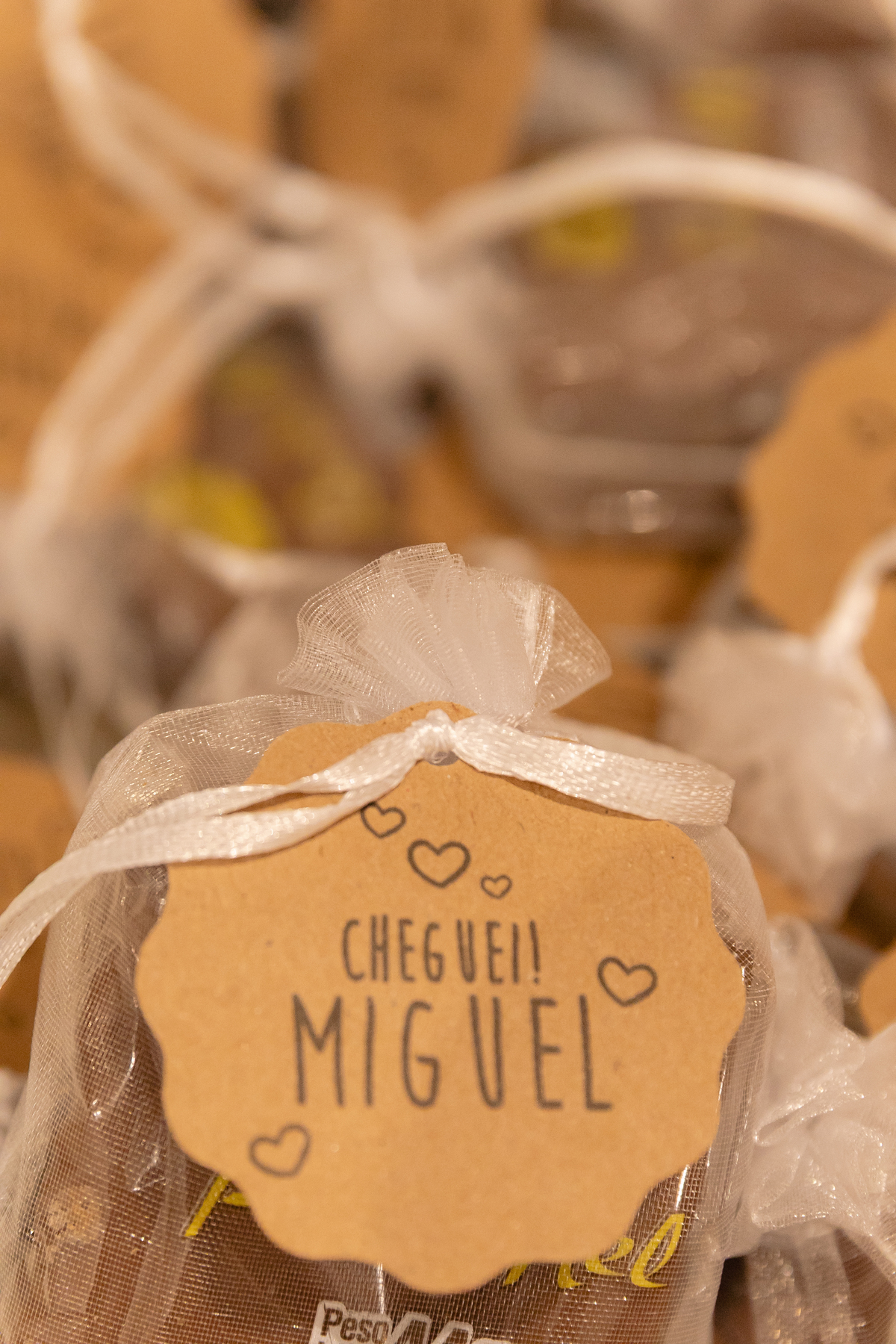 Foto de parto; Adri Silva Fotografia; maternidade Pro Matre; Foto de família; recem nascido