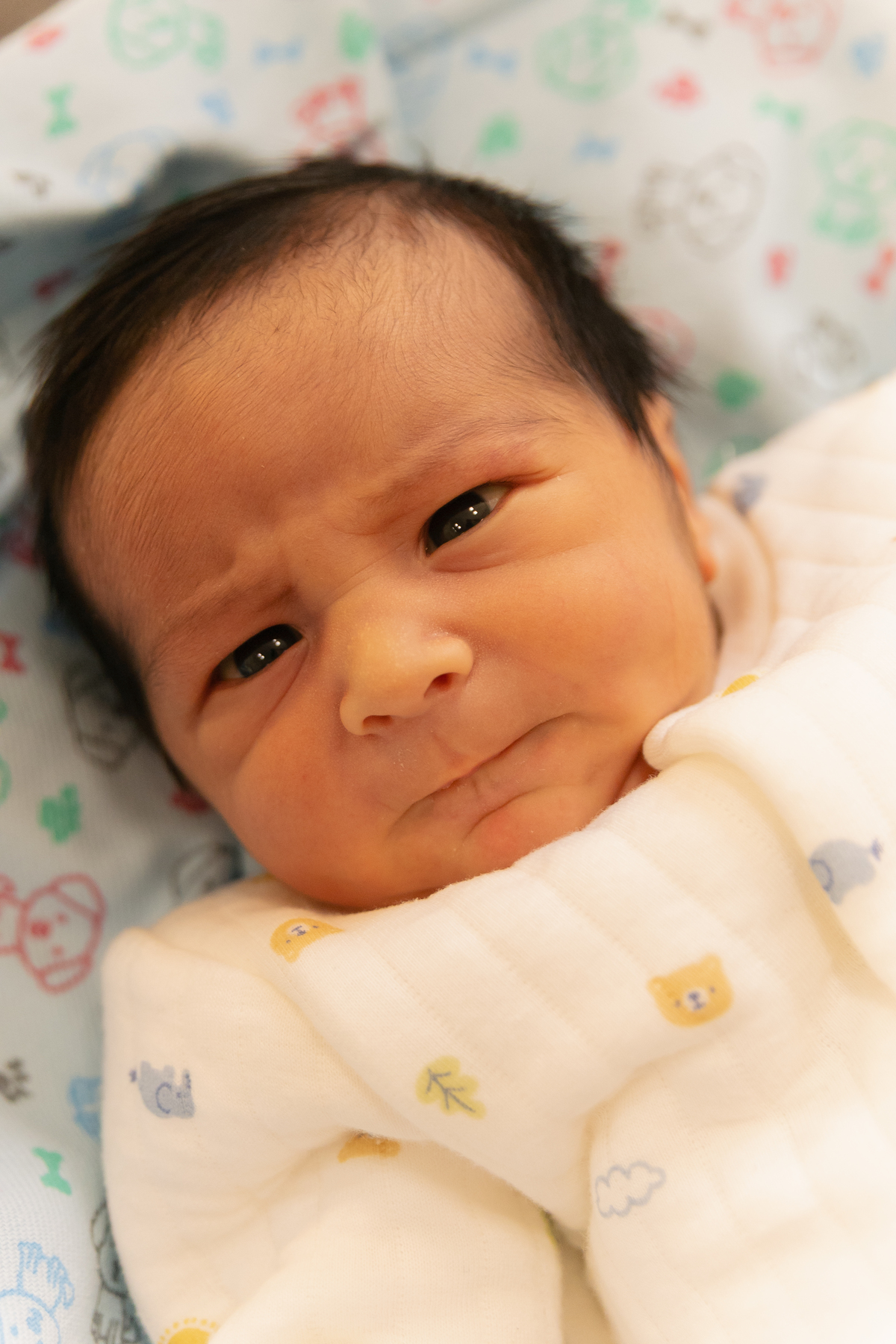 Foto de parto; Adri Silva Fotografia; maternidade Pro Matre; Foto de família; recem nascido