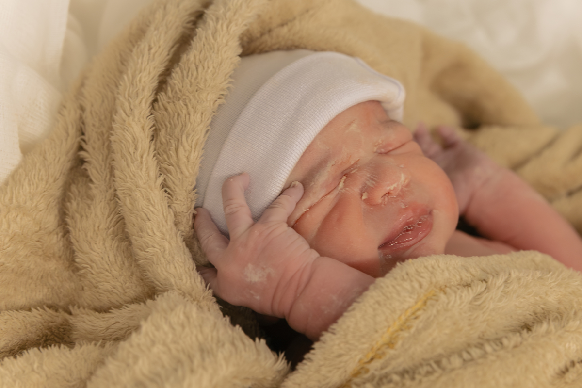foto de parto; adri silva fotografia; maternidade; maternidade são luiz star; fotografia de parto; foto de família