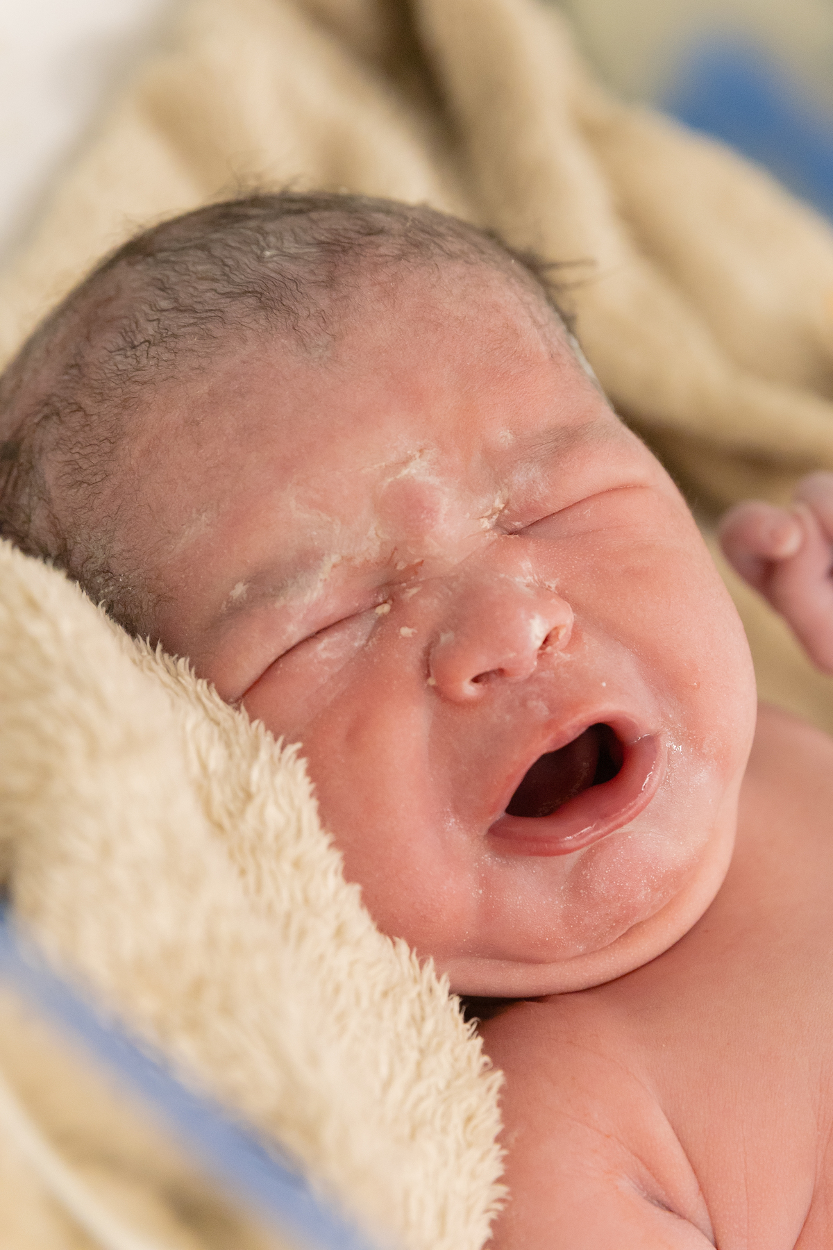 foto de parto; adri silva fotografia; maternidade; maternidade são luiz star; fotografia de parto; foto de família