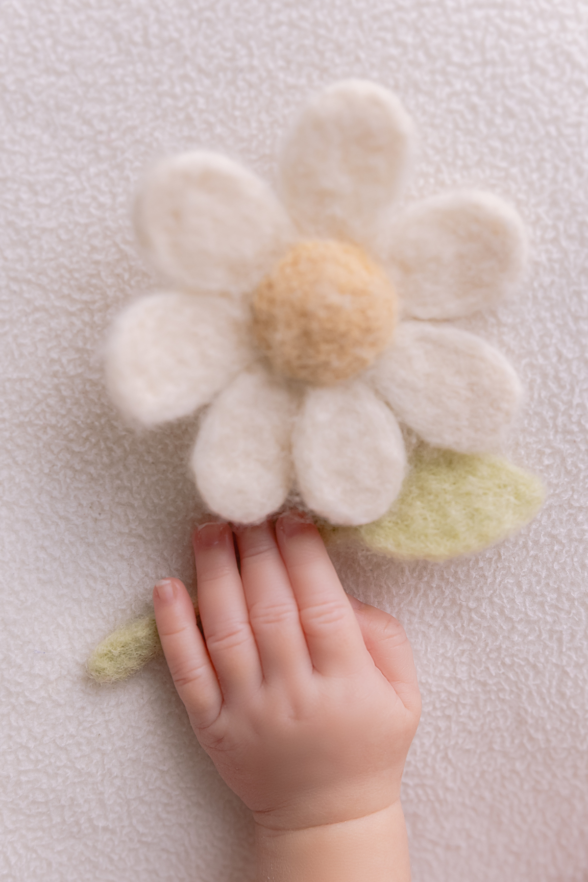 Ensaio newborn; Sessão newborn; Adri Silva fotografia; condomínio novAmerica; fotografa na zona sul de são paulo