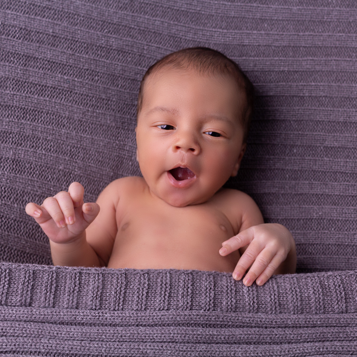 fotografia de recem nascido, foto de familia, adri silva fotografia, ensaio newborn em são paulo zona sul, praça da arvore