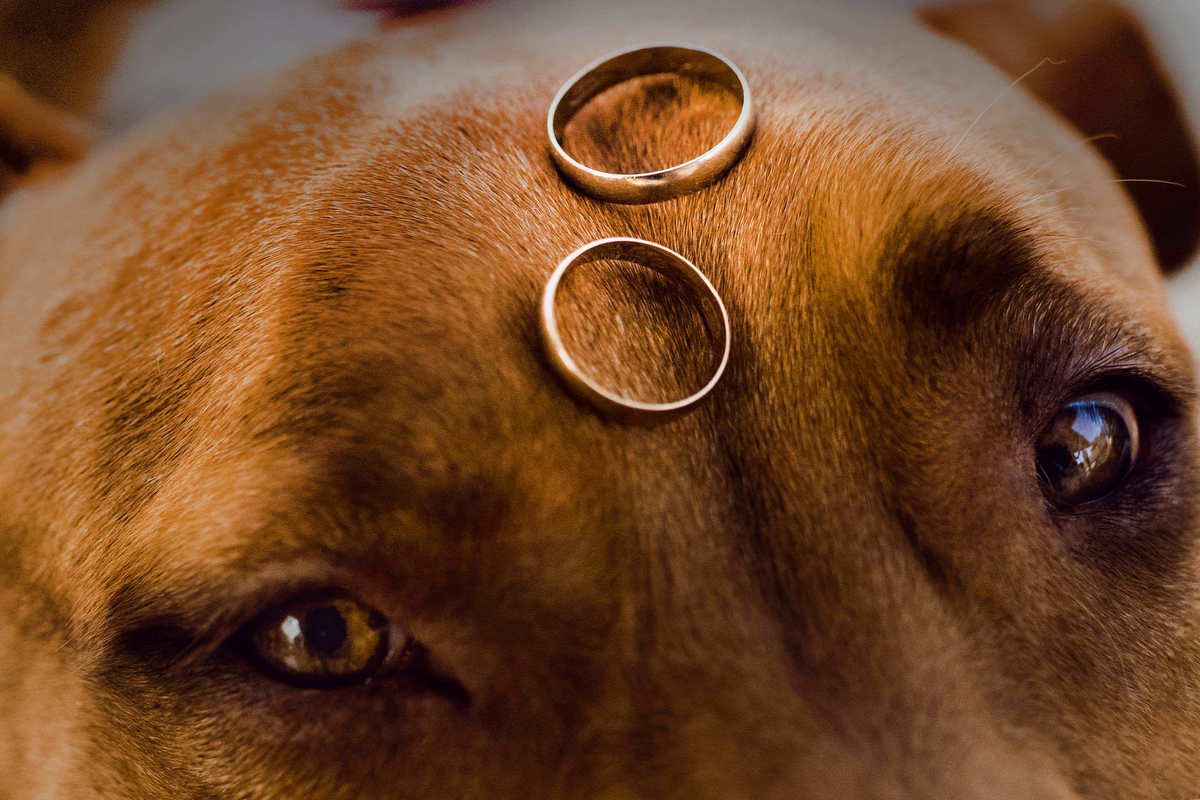 Um casamento rústico na Praia de Vilas do Atlântico em região Metropolitana e Salvador - Noivos Paula e Victor - Thiago Rosarii
