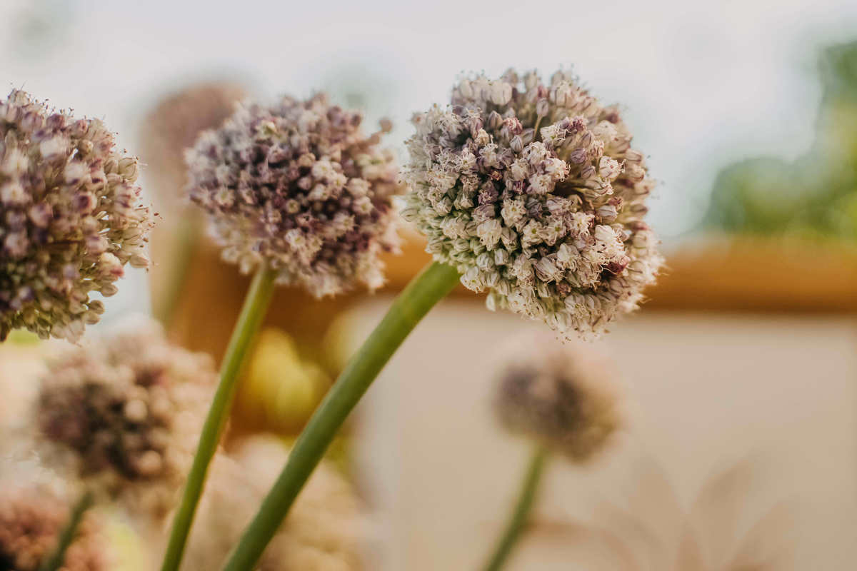 Thiago Rosarii - Fotografia de Casamento - Larissa e Rafael - Morro de São Paulo - Hotel Vila dos Orixás - Minha Louca Paixão - Toca do Morcego - Destination Wedding - Casamento na praia bahia